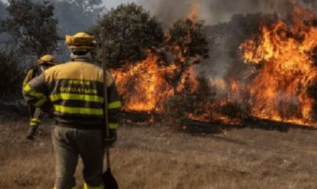 Incencios en España