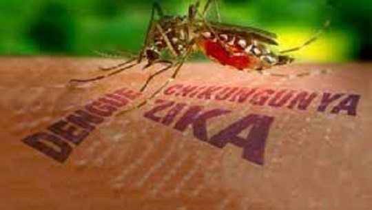 Disminuyen casos de arbovirosis en Aguada de Pasajeros