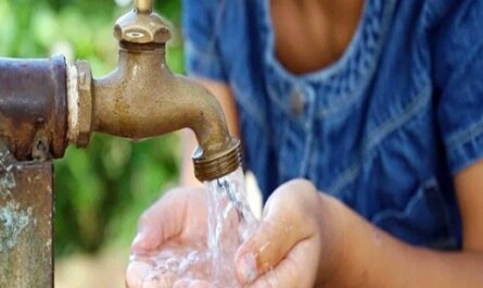 El agua y su calidad