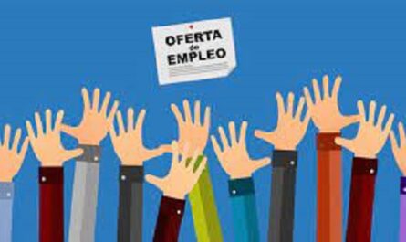 El empleo juvenil sigue recuperándose a un ritmo lento