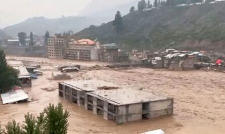 Pakistán calcula en 10.000 millones de dólares los daños por las inundaciones