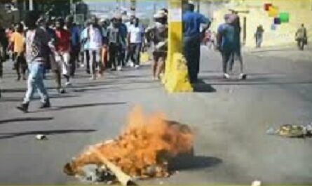 Pueblo haitiano conmemora levantamiento de esclavos con protestas sociales