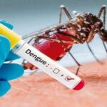 Situación epidemiológica: arbovirosis en Cienfuegos