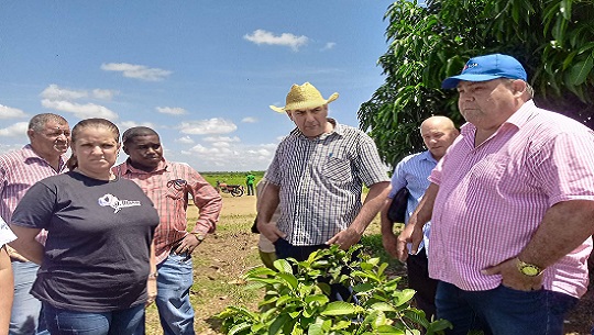 Cienfuegos: Dirigentes cubanos incentivan producción agrícola