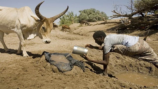 🎧 Afectadas las zonas del Cuerno de África por sequía histórica