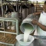 El Triángulo de la confianza El lácteo, leche y soyour