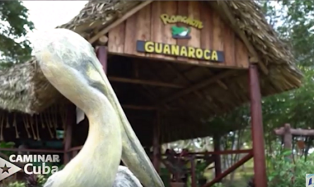 Encantos de la naturaleza de Cienfuegos