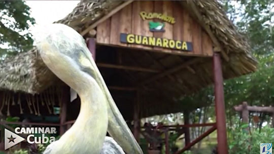 Encantos de la naturaleza de Cienfuegos