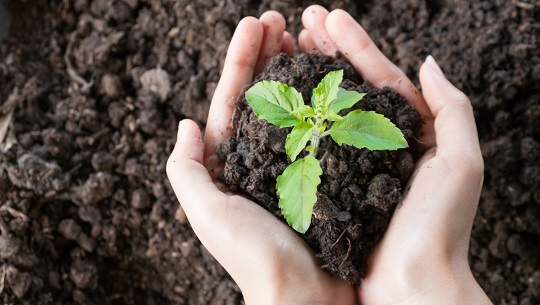 🎧 ¿Qué hacer dónde vivo, en mi comunidad, para preservar la Naturaleza?