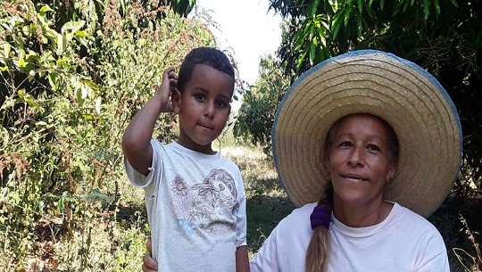 Mirada campesina desde Cienfuegos al nuevo Código de las Familias en Cuba