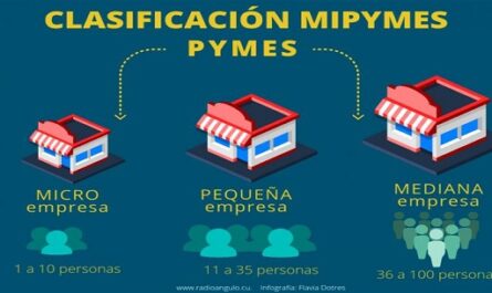 Aprobadas en Cienfuegos más de 100 Mipymes