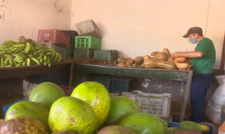 Comercialización agrícola en Cienfuegos, avances y retos