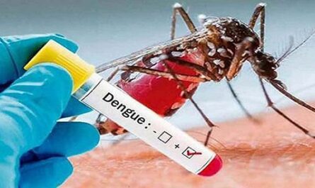 Dengue, prevención y manejo