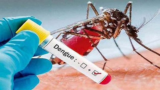 🎧 El Triángulo de la confianza: Dengue, prevención y manejo