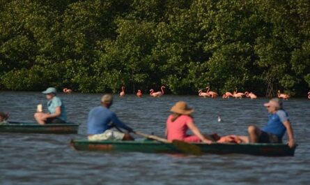 Las bondades del turismo de naturaleza en Cuba