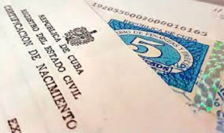 Registro de nacimientos y certificación de defunciones