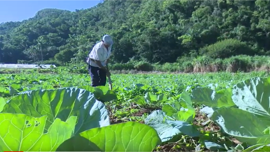 Un hombre que produce en las montañas