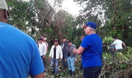 El presidente de Cuba, Miguel Díaz-Canel, participa en una jornada de trabajo voluntario