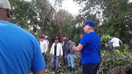 El presidente de Cuba, Miguel Díaz-Canel, participa en una jornada de trabajo voluntario