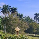 Jardín Botánico de Cienfuegos