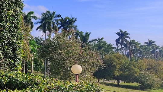 Jardín Botánico de Cienfuegos impulsa la producción de alimentos