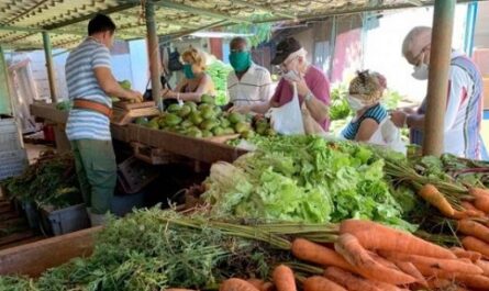 productos del agro