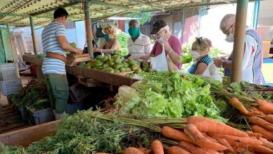 🎧 Con palabra propia: Las deficiencias en la comercialización de productos agrícolas y otros alimentos