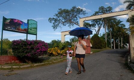 Jardín Botánico de Cienfuegos: un sitio para el sano disfrute