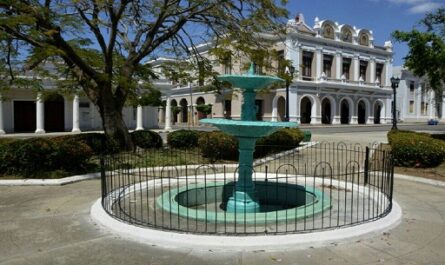 Jardín Botánico recuperará cobertura verde en ciudad de Cienfuegos