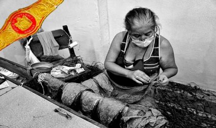 En Cienfuegos, abre exposición Habanos con aroma de mujer (+Fotos)