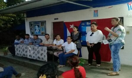 Comenzaron en Cienfuegos plenarias de vigilancia cederista