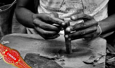 Permanecerá dos meses exposición dedicada a mujeres cienfuegueras de tabaco