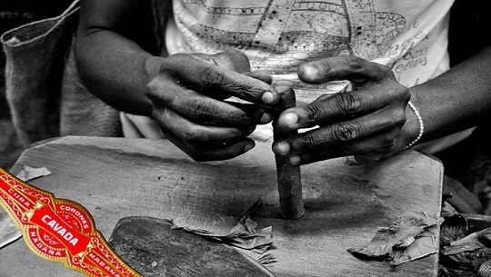 Permanecerá dos meses exposición dedicada a mujeres cienfuegueras de tabaco