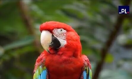 Concluyó Foro mundial sobre conservación de especies en Panamá