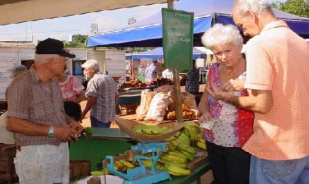 Economía cienfueguera en 2022