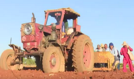 Empresa Agropecuaria Horquita por cumplir compromisos productivos (1)