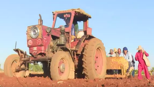 Empresa Agropecuaria Horquita por cumplir compromisos productivos (1)