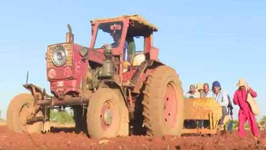 📹 Empresa Agropecuaria Horquita por cumplir compromisos productivos