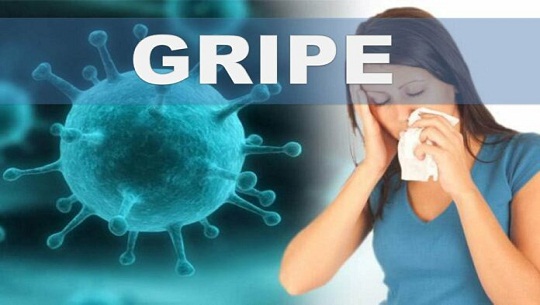 gripe