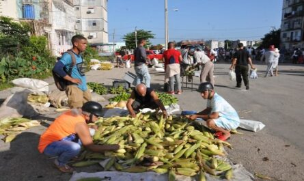 Preparativos en Cienfuegos por nuevo aniversario de la Revolución