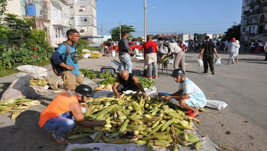 Preparativos en Cienfuegos por nuevo aniversario de la Revolución