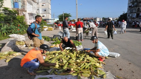 Preparativos en Cienfuegos por nuevo aniversario de la Revolución (+Fotos)