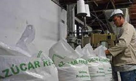 Tecnoazúcar Cienfuegos comercialización al ritmo anual comprometido