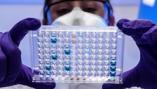 Científicos rusos revelan el patrón de los nuevos coronavirus