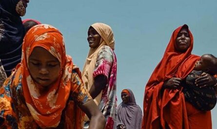 ONU defenderá derechos de los migrantes en su Día Internacional