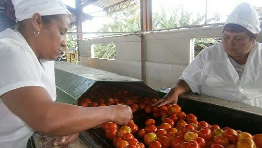 Cienfuegos prizes the work of food workers on their day