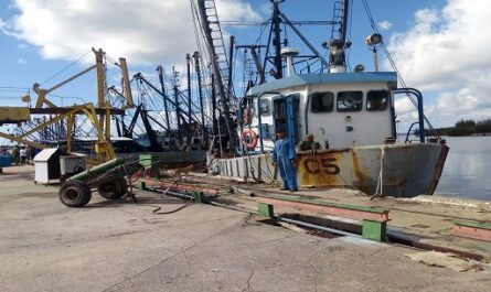 Navegan barcos de Cienfuegos para iniciar captura del camarón