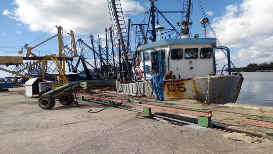 Navegan barcos de Cienfuegos para iniciar captura del camarón