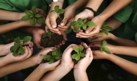 Analizan en Cienfuegos resultados de educación ambiental