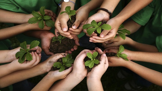 Analizan en Cienfuegos resultados de educación ambiental